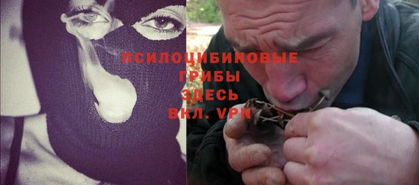 дурь Алексин