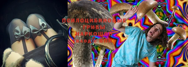 дурь Алексин