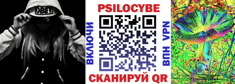 наркошоп  Гаджиево  Псилоцибиновые грибы Cubensis 
